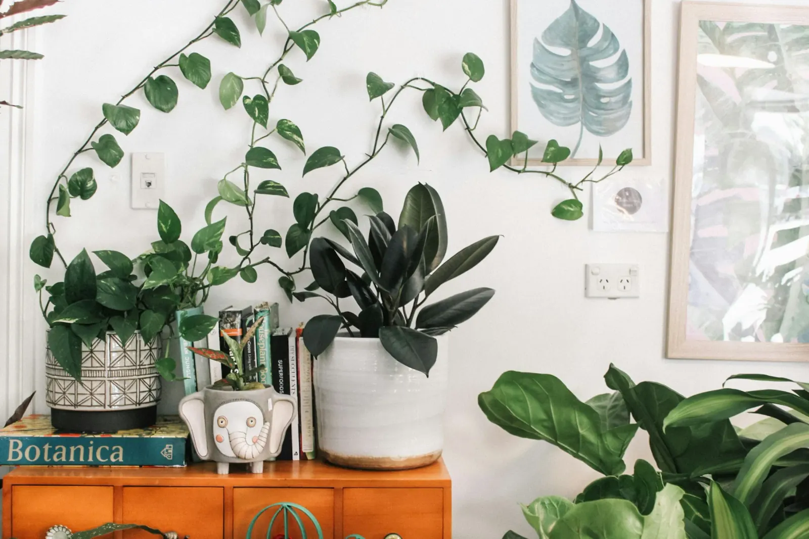 Cómo decorar con plantas de interior: la regla de las tres alturas